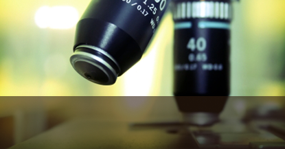 Естественные науки